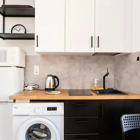 Apartman Loft Gdanska 46 Parking Gratis Łódź