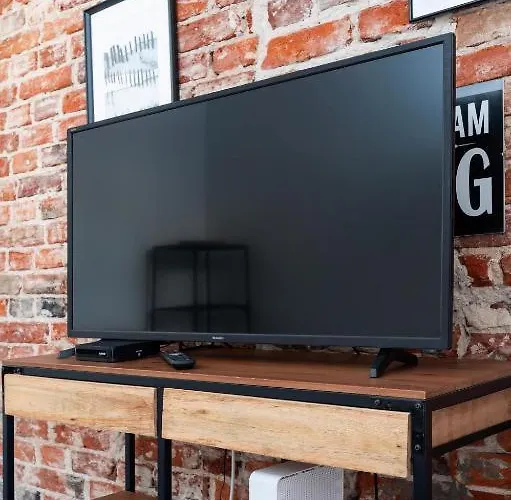 公寓 Loft Gdanska 46 Parking Gratis 罗兹