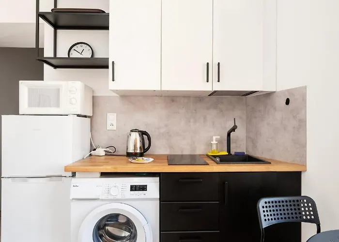 公寓 Loft Gdanska 46 Parking Gratis 罗兹